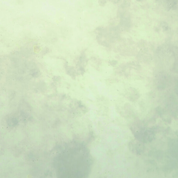 Haze spiegel - Afbeelding 2