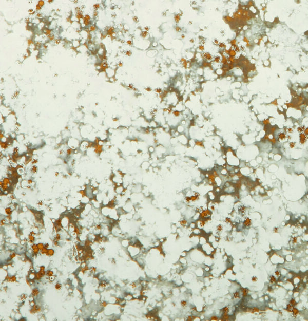 Comet spiegel - Afbeelding 2