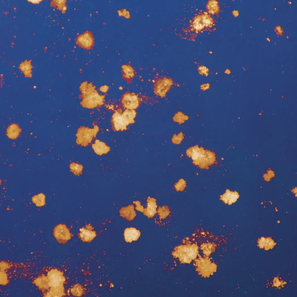 Stardust Blue spiegel - Afbeelding 2